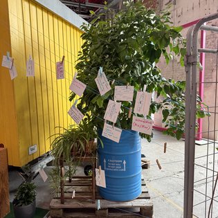 Ein Baum in einem blauen Fass ist mit Notizen behängt, inspiriert von einem Kunst-Symposium in Stuttgart.
