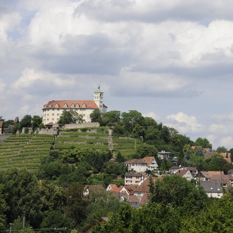Blick auf das Schloss und auf Vaihingen an der Enz