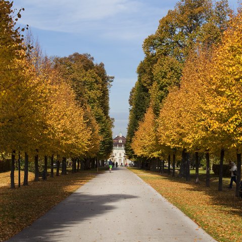 Bärenwiese im Herbst.