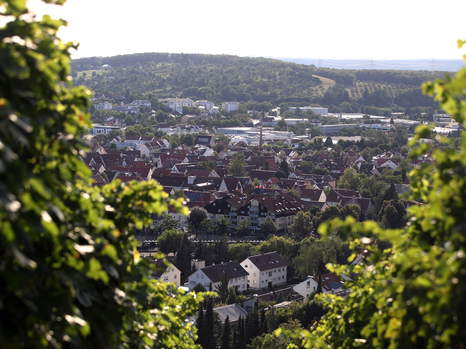 Blick auf Metzingen von oben