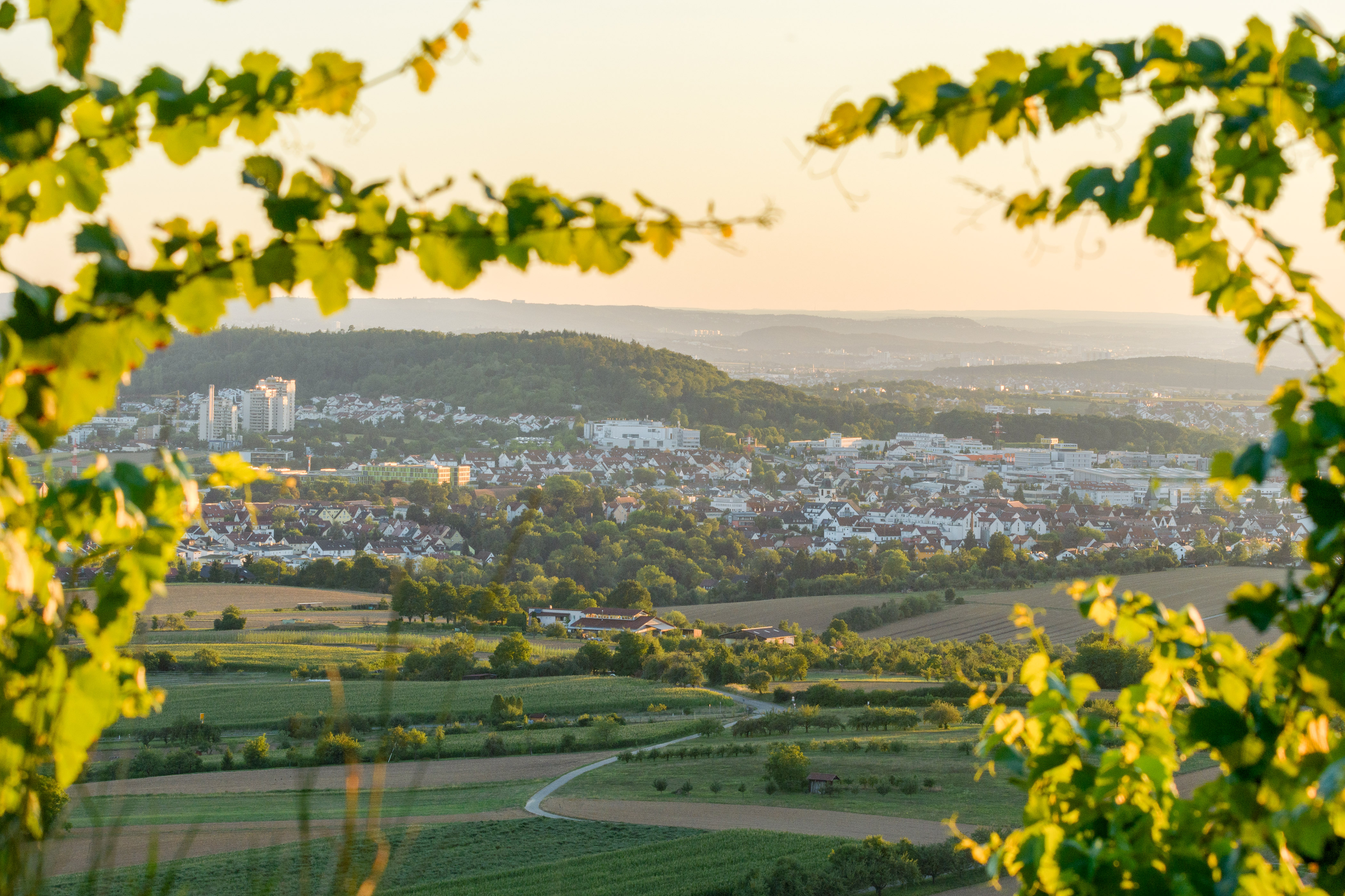 Aussicht von einem Berg aus auf Winnenden. Im Vordergrund Äste eines Baumes.