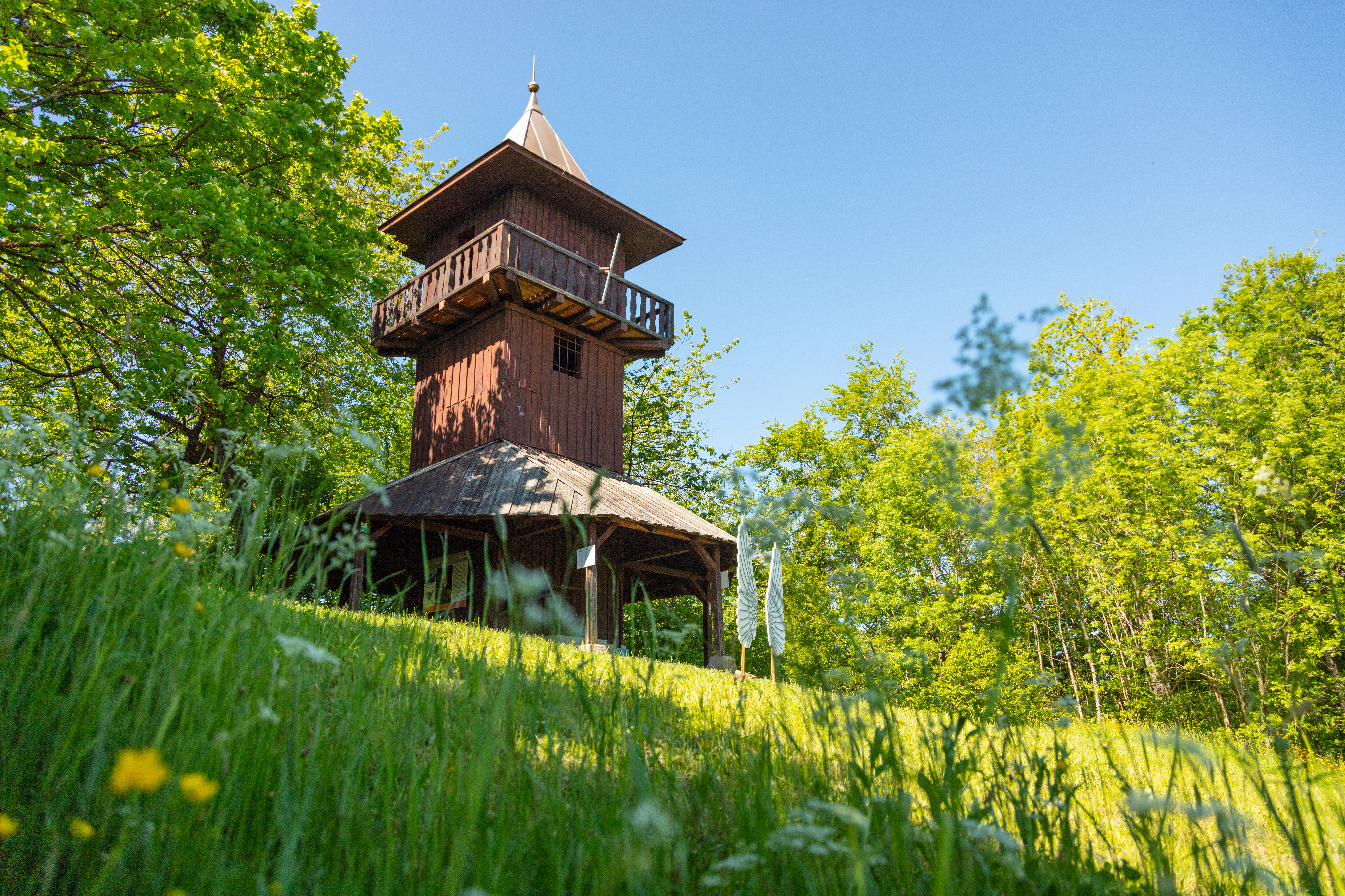 Holzturm mit umlaufendem Balkon auf einer Wiese umgeben von Bäumen