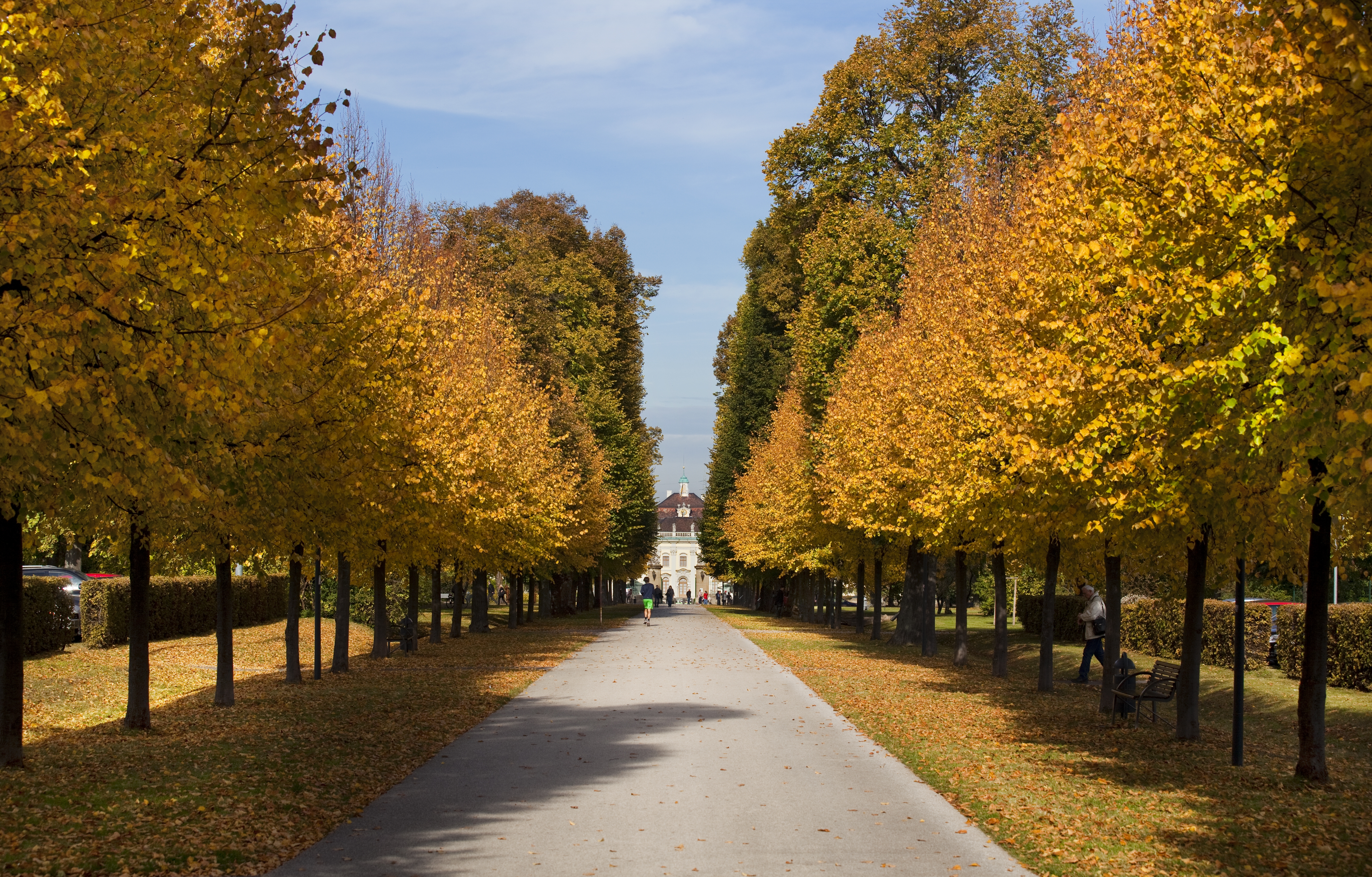 Bärenwiese im Herbst.