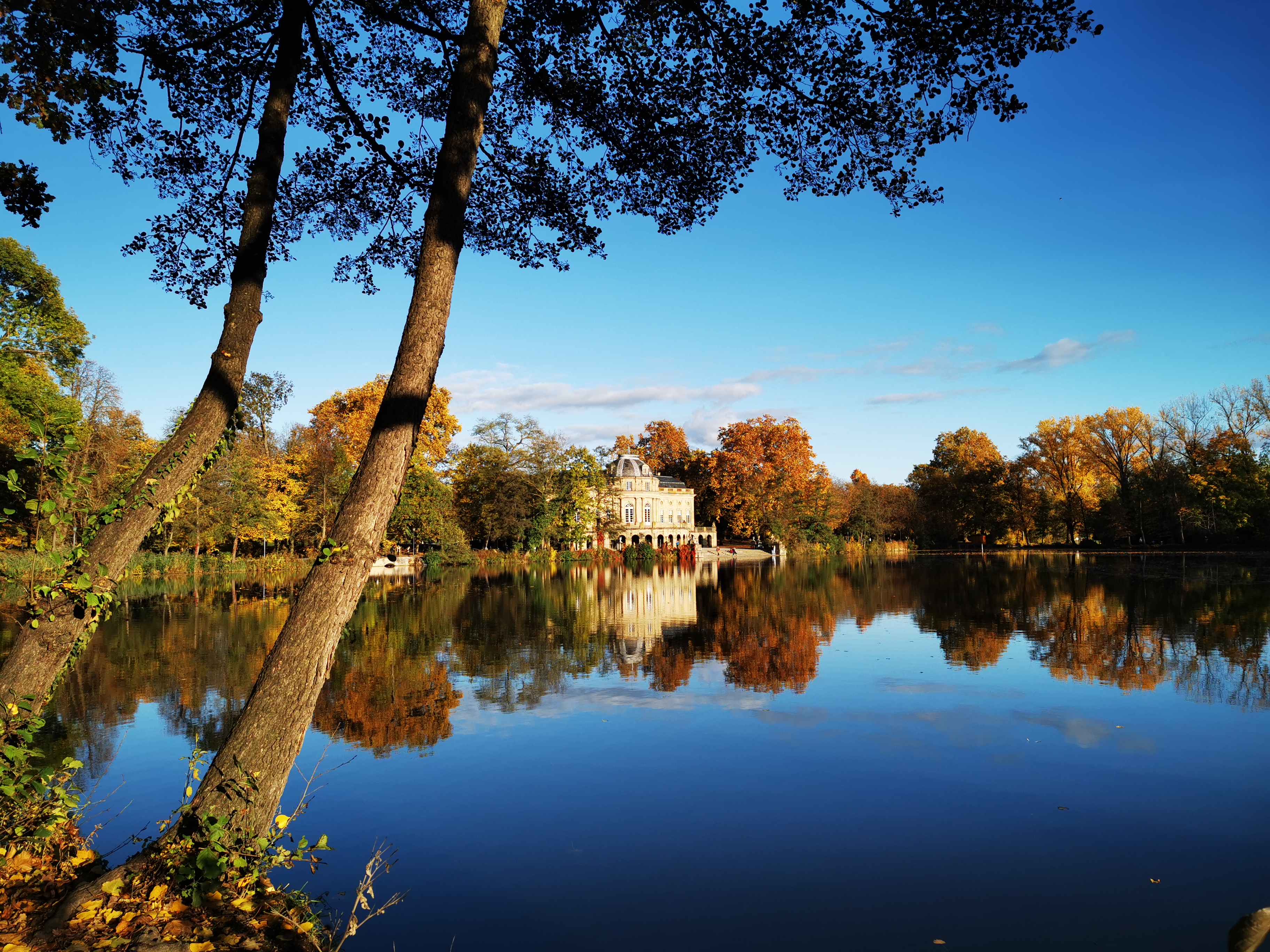 Blick über den See auf Monrepos