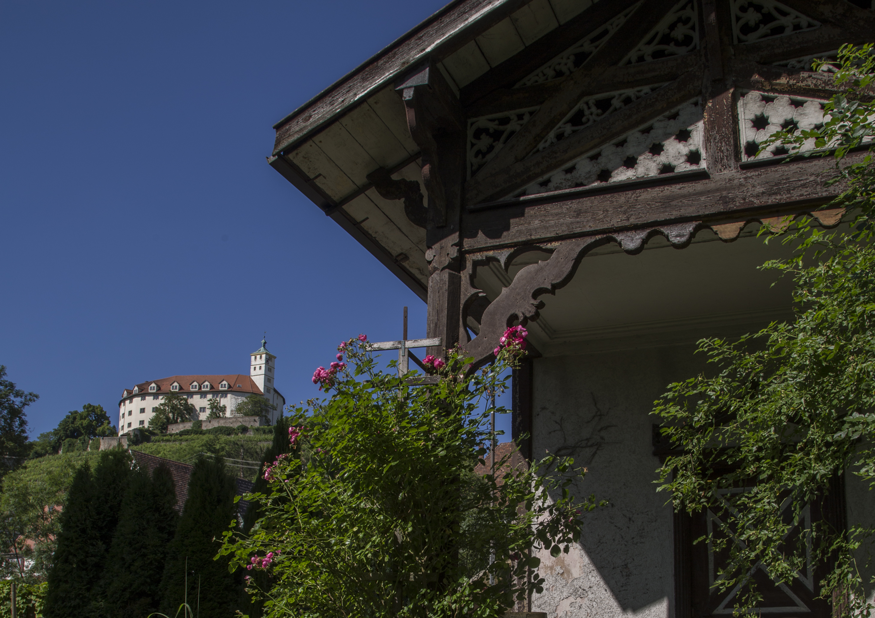 Blick vom Garten auf das Schloss